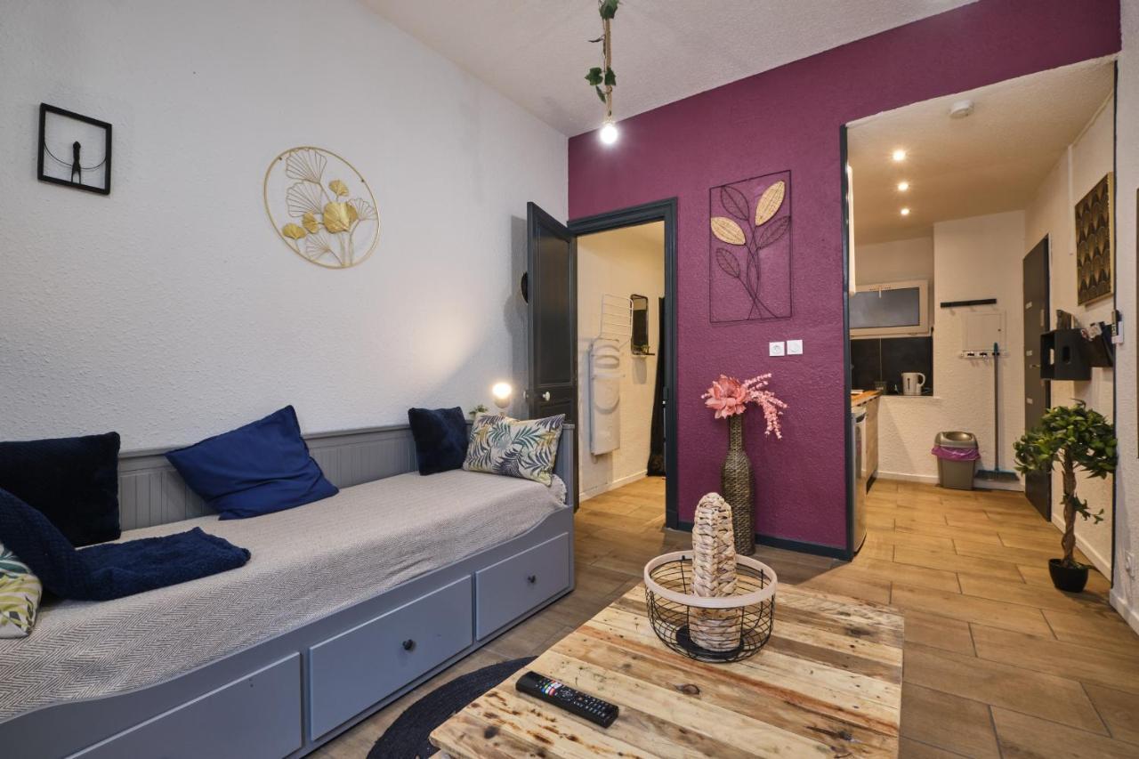 Calme En Centre Ville Appartement , Spacieux Et Renove A 50M De La Place Carnot Carcassonne Eksteriør billede